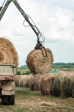 Machine unloads a haystack. Preparing for winter on the farm. Stock Photos