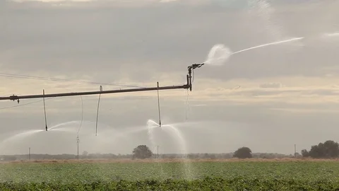 Machine for watering the vegetation Video stock 81458409