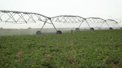 Machine for watering the vegetation Video stock 81458423