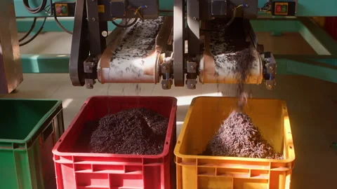 Machinery equipment for sorting tea leaves on production industrial plant. Video stock 244284419