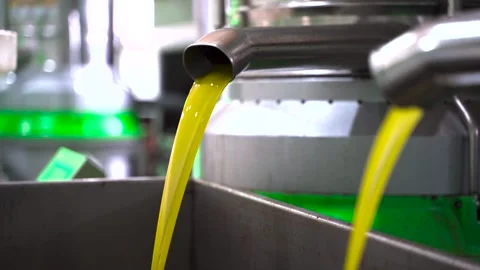Machinery processing fresh olive oil in factory Stock Footage 321711159