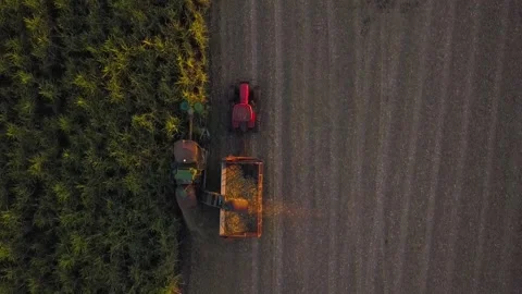 Machinery working on the field | 01 Stock Footage 156877968