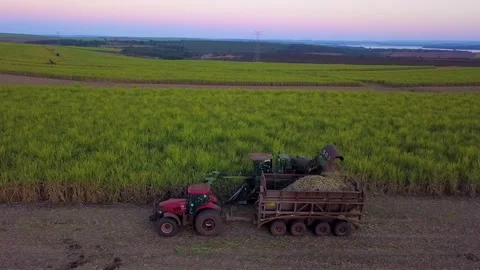 Machinery working on the field | 03 Stock Footage 156877980