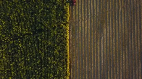 Machinery working on the field | 06 Stock Footage 156878026