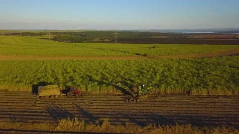 Machinery working on the field | 07 Stock Footage 156878020