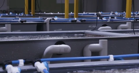 Machines in aquarium that simulate marine ecosystem Stock Footage 93602292
