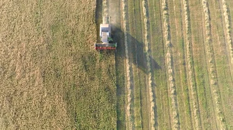 Machines on the Field Stock Footage 54687148