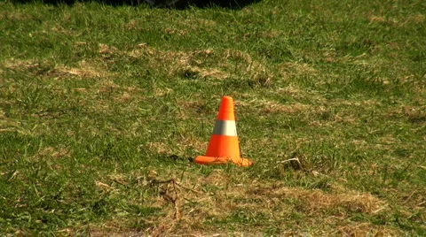 Machines on the forest meadow Stock Footage 5773786