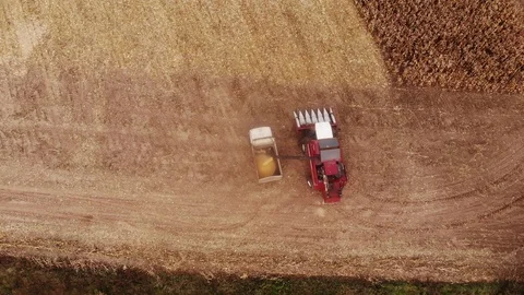 Machines harvesting corn in the field. Stock Footage 117132059
