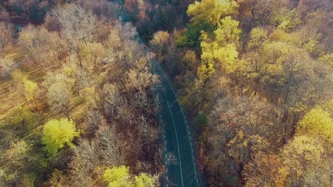 Machines perform overtaking on the road Stock Footage 100975431