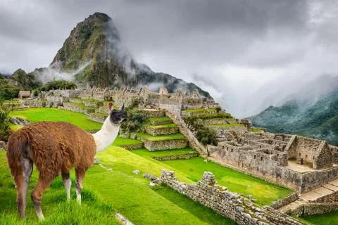 Machu Picchu, Cusco - Peru Stock Photos