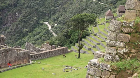 Machu Picchu Stock Footage 2692698