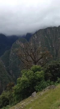 Machu Picchu Video stock 51364803