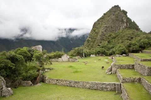Machu Picchu Stock Photos