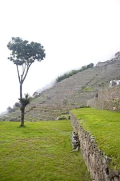 Machu Picchu Stock Photos