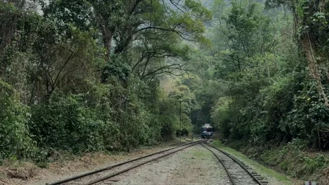 Machu-Picchu-train-forest Stock Footage 303100296