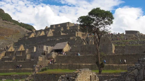 Machu Picchu wide angle in time lapse with clouds and tree in foreground Stock Footage 33832804