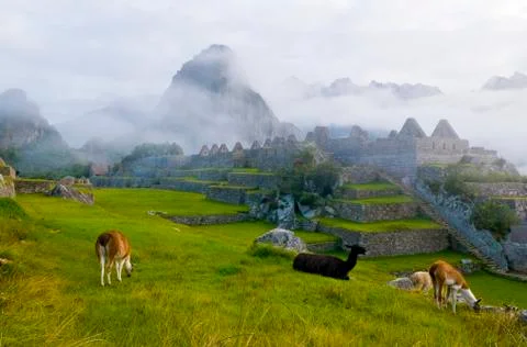 Machu pichu Stock Photos