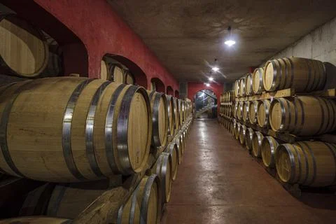 Maci Batle wineries, barrels of aging, Santa Maria del Cami, Mallorca, Balear Stock Photos