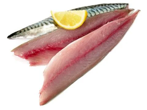 Mackerel Fillets - Raw Mackerel Fish on white Background Stock Photos