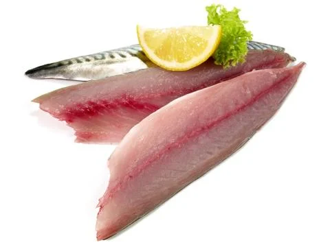 Mackerel Fillets - Raw Mackerel Fish on white Background Stock Photos