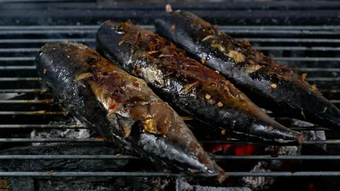 Mackerel fish cooking on BBQ grill. Stock Footage 276375348