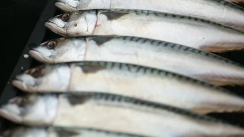 Mackerel. The fish is on the grill Stock Footage 146647987