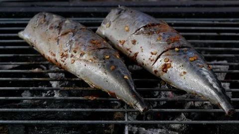 Mackerel fish grilling on BBQ grill Stock Footage 276374881