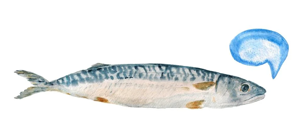 Mackerel fish Stock Illustration