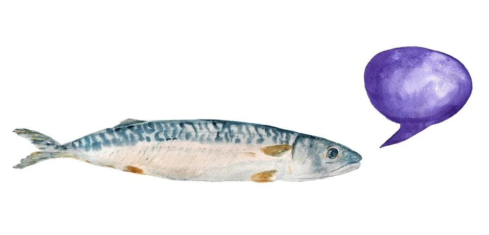 Mackerel fish Stock Illustration