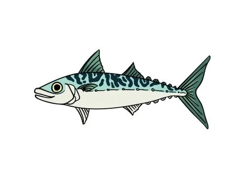 Mackerel fish isolated illustration Stock Illustration