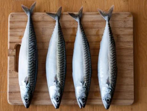 Mackerel fish on kitchen board Stock Photos