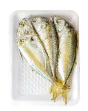 Mackerel fish with package Stock Photos