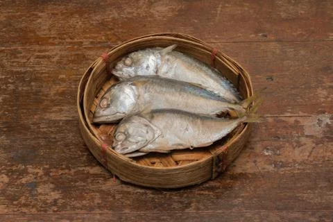Mackerel fish Stock Photos