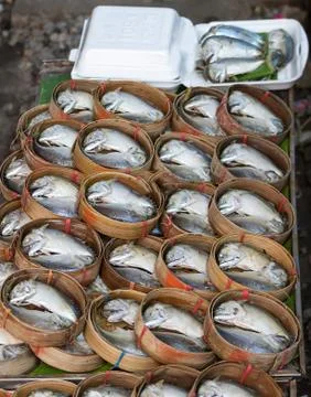 Mackerel fish Stock Photos