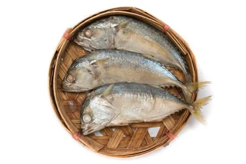 Mackerel fish Stock Photos