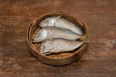 Mackerel fish Stock Photos