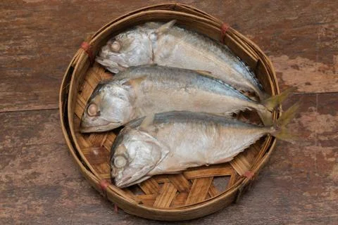 Mackerel fish Stock Photos