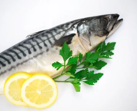 Mackerel Fish Stock Photos