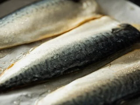 Mackerel fish on a plate Stock Photos