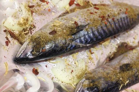 Mackerel fish is ready for baking Stock Photos