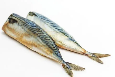 Mackerel Fish (Scomber scrombrus) over white background Stock Photos
