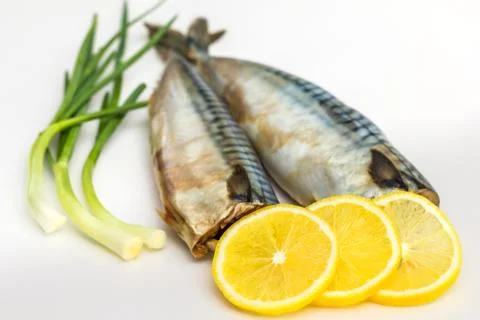 Mackerel Fish (Scomber scrombrus) over white background Stock Photos