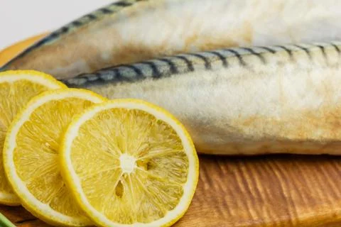 Mackerel Fish (Scomber scrombrus) over white background Stock Photos