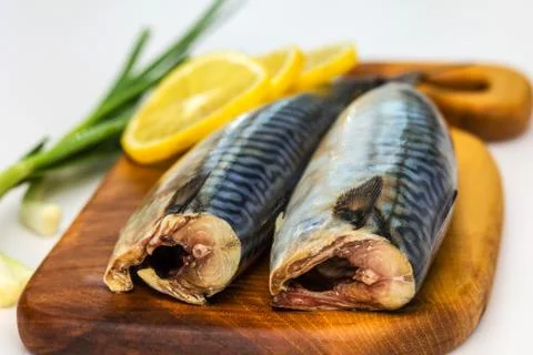 Mackerel Fish (Scomber scrombrus) over white background Stock Photos