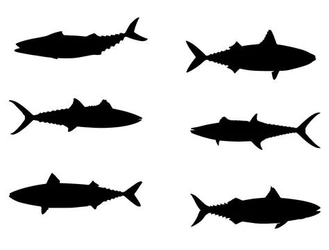Mackerel fish silhouette vector art Stock Illustration