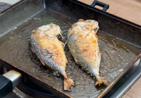 Mackerel fried Fotos de archivo