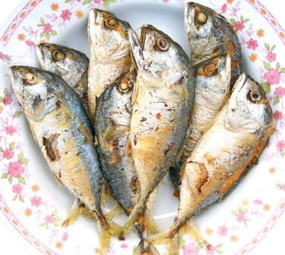 Mackerel fried Stock Photos