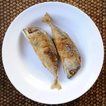 Mackerel fried on white plate Stock Photos