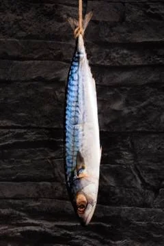 Mackerel hanging. Stock Photos